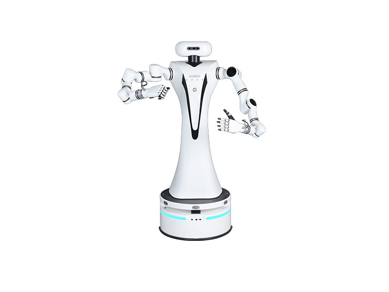 双臂复合机器人